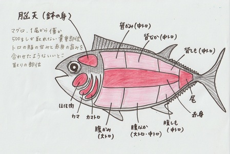 マグロの煮付け 1kg (H071115)