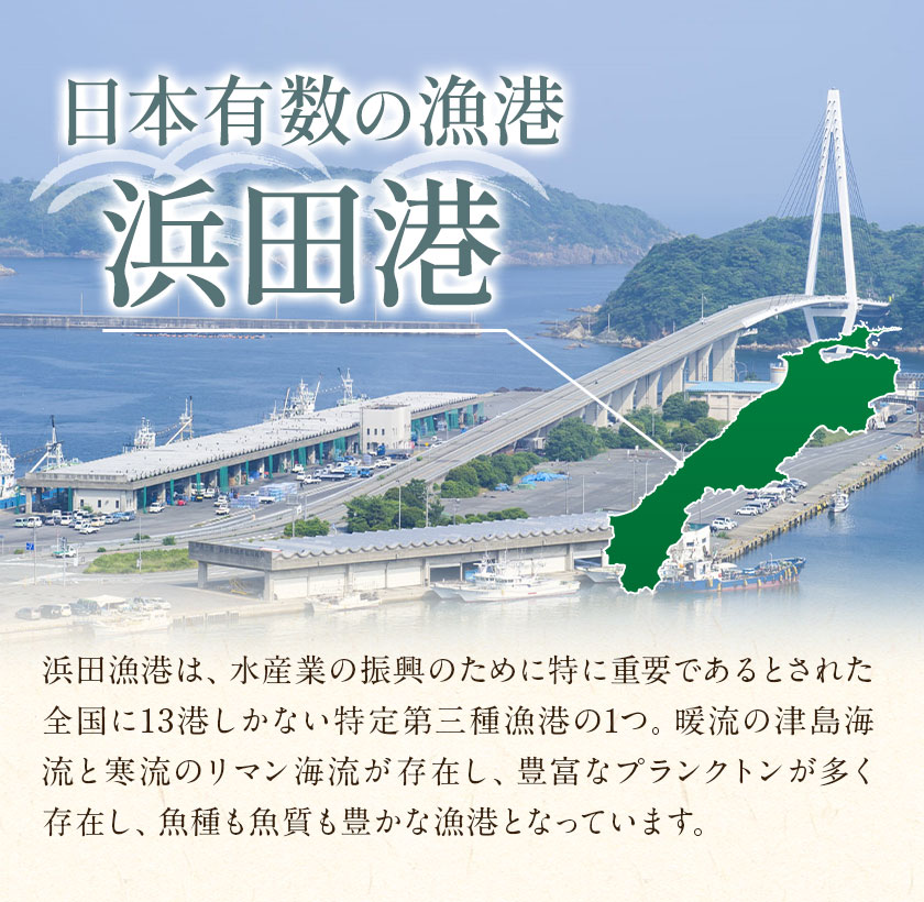 どんちっち 干物 3種6枚セット のどぐろ アジ カレイ 送料無料 産地直送 国産 干物 浜田 島根 7-14営業日以内に発送（土日祝除く）