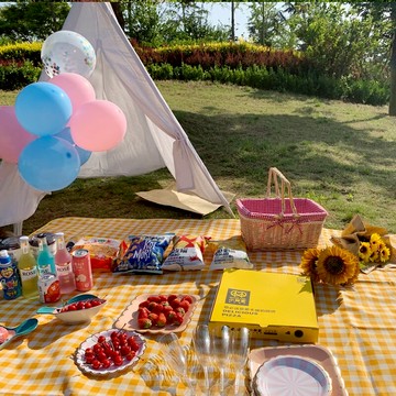 野餐布草坪墊子加厚防潮野餐墊戶外便攜可折疊ins風沙灘帳篷地墊