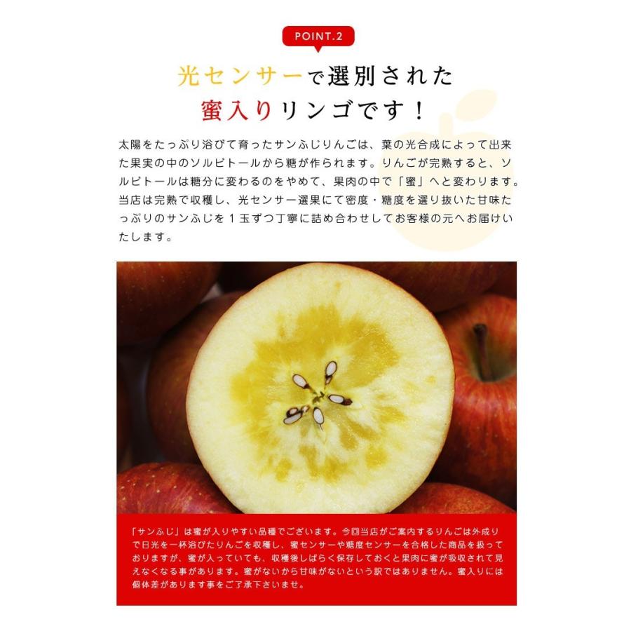 送料無料 青森県産蜜入りサンふじ14-18玉 約5kg りんご 5kg 蜜入りりんご 蜜りんご