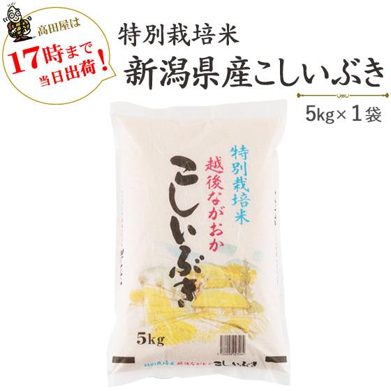 令和５年産　お米　5kg　白米　特別栽培米新潟県産こしいぶき5kg×1袋　送料無料（一部地域を除く）