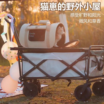 免運 可開票 貓包外出便攜折疊狗包手提斜挎寵物車載外出包太空艙大容量透氣包---快速出貨