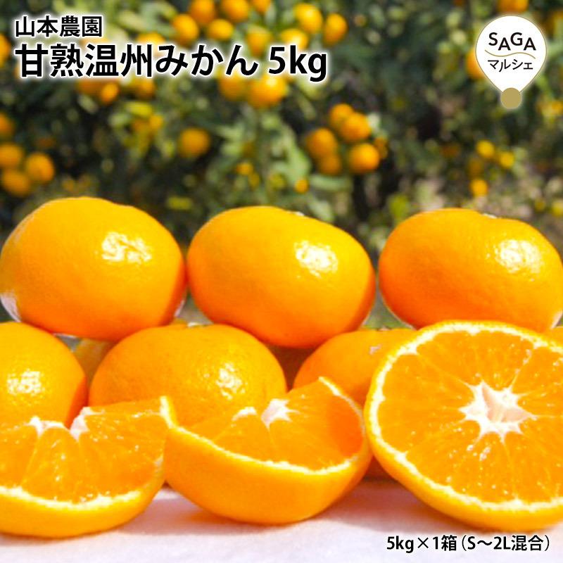 甘熟温州みかん 5kg（ S〜2L混合） 温州みかん 甘熟