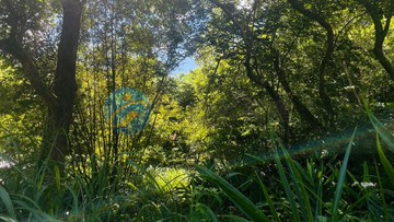 J109芝柏山中景觀藏風聚氣好農地.3分鐘到市區｜新北市三芝區芝柏