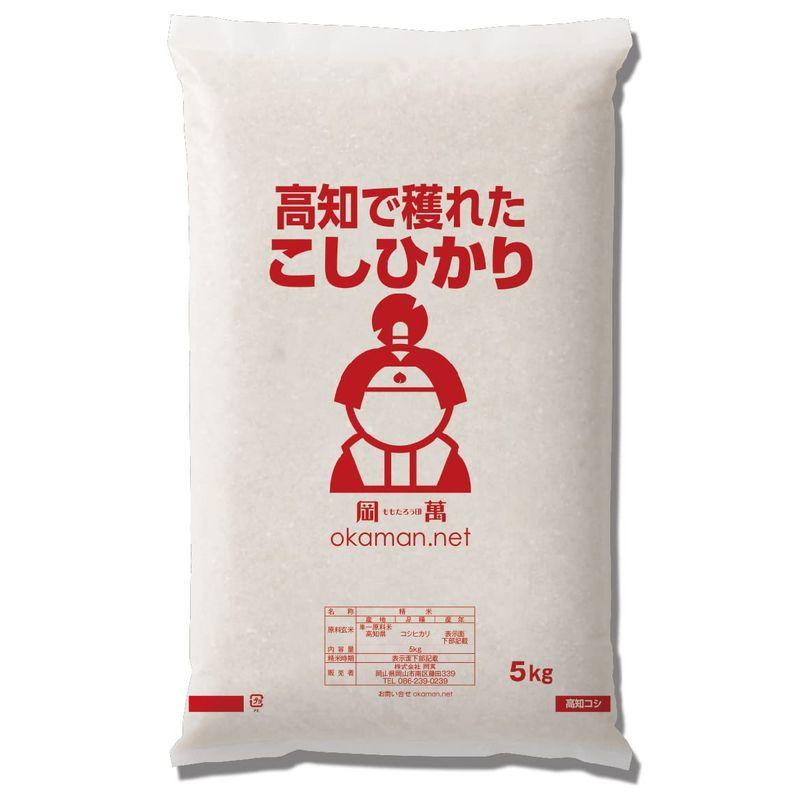 お米 令和4年産 5kg 高知県産コシヒカリ 米 5kg