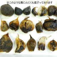 田子町産熟成黒にんにく 1kg