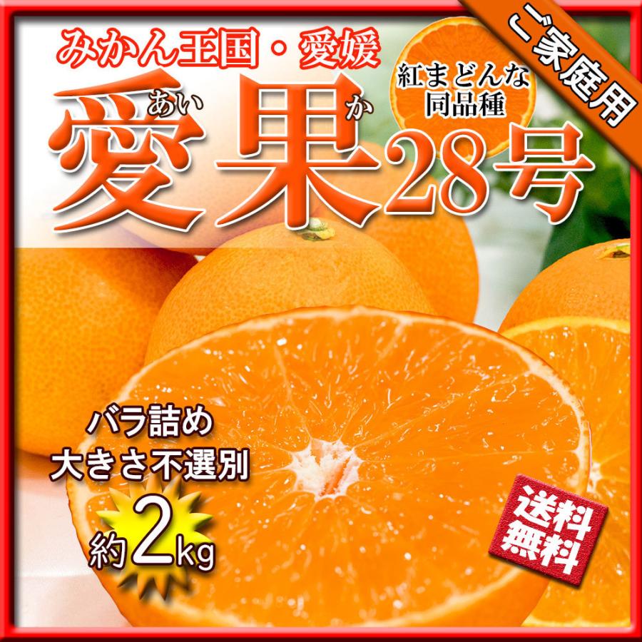 みかん 箱買い 家庭用 紅まどんな 愛果28号 家庭用 みかん べにまどんな 愛媛県産 約2ｋｇ 送料無料