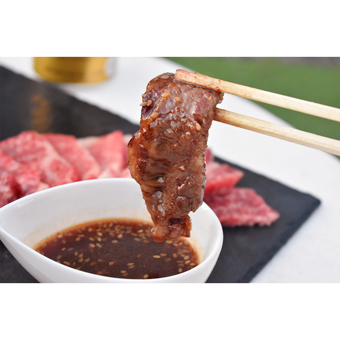 AB-5 A5飛騨牛バラカルビ焼肉用700g