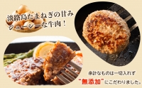 プレミアムハンバーグとたまねぎ牛丼 食べ比べセット