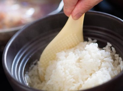 宮崎県産こしひかり 「シタギリ米」 10kg