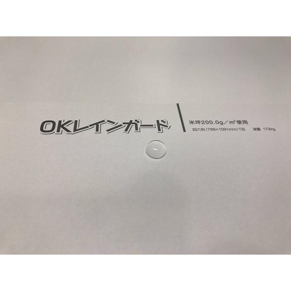 ＯＫレインガード Ａ４ Ｙ 200ｇ（172kg 1250枚パック 1枚あたり15.6円) 代引不可