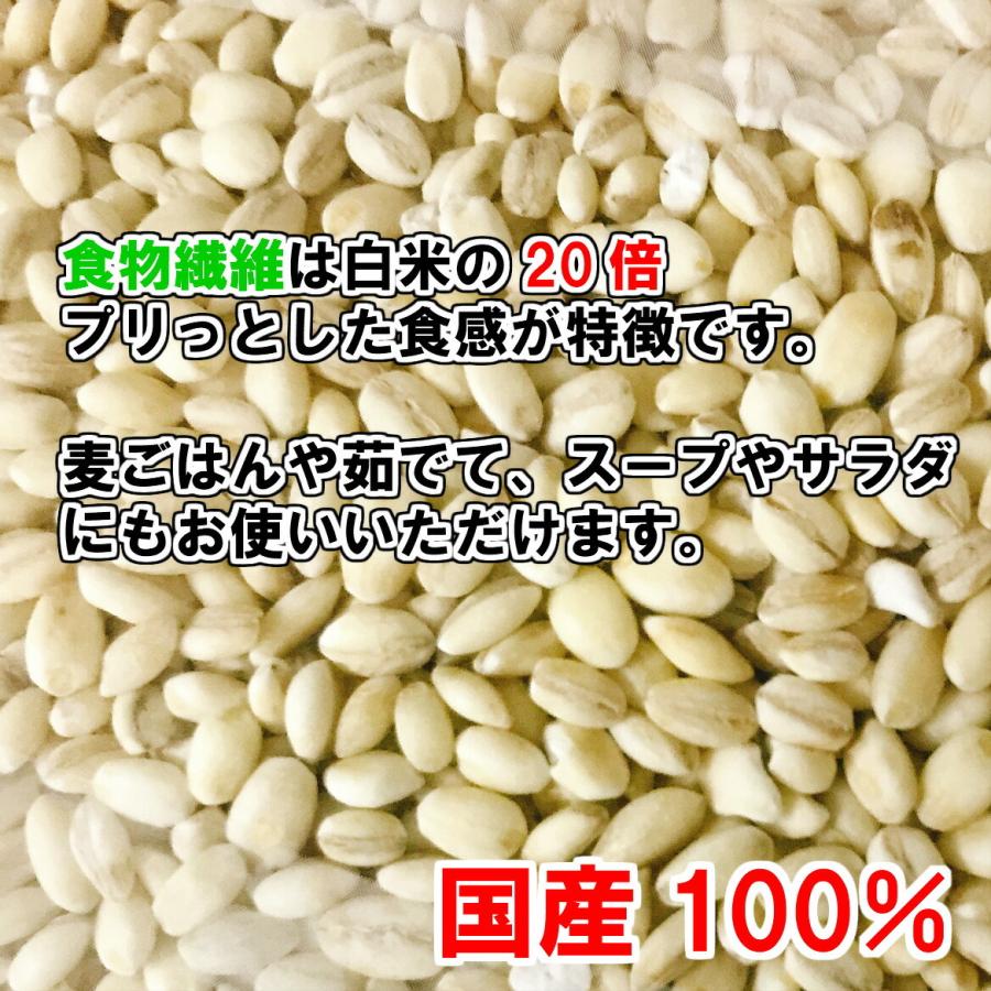 ライスアイランド まるっともちもち麦 500g