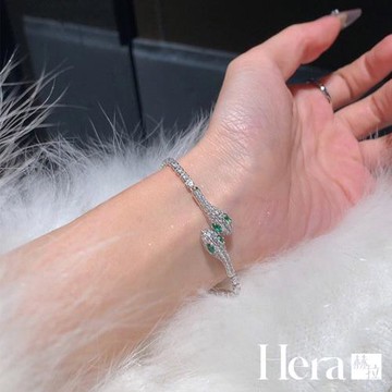 【Hera 赫拉】小巧鋯石綠眼靈蛇手鍊 H114031104