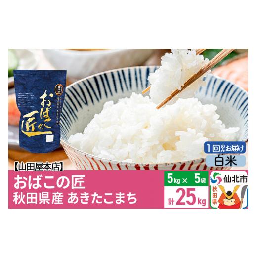 ふるさと納税 秋田県 仙北市 令和5年産 仙北市産 おばこの匠 25kg秋田県産あきたこまち