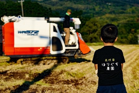 北海道赤平産ゆめぴりか10kg 精米したて直送