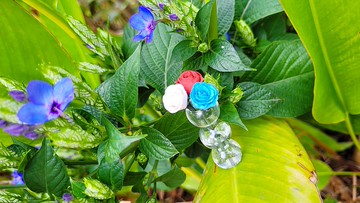 【訂貨】黏土植物 — 迷你黏土玫瑰