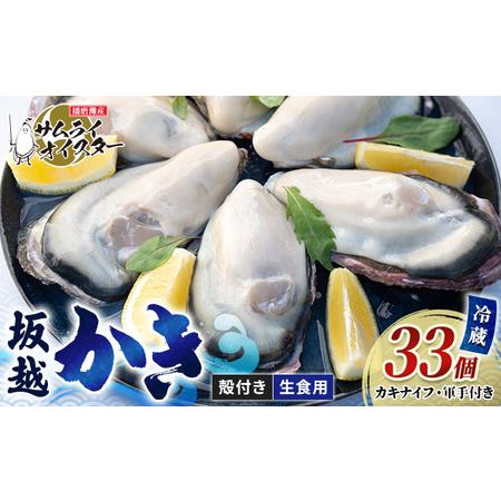 ふるさと納税 牡蠣 生食 坂越かき 殻付き 33個(牡蠣ナイフ・軍手付き)サムライオイスター 生牡蠣 冬牡蠣 兵庫県赤穂市