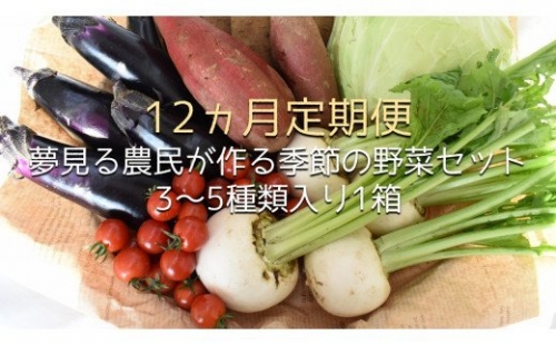 CN-8  夢見る農民が作る季節の野菜セット 3～5種類入り1箱