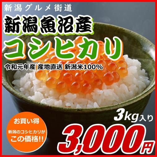 コシヒカリ 魚沼産 3000円分（3キロ） 新潟米 お米 新潟産 産地直送 米 コメ お歳暮 自宅用 ギフト 贈答 贈り物