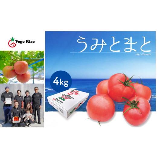 ふるさと納税 熊本県 玉名市 玉名市産トマト「うみとまと」 4kg