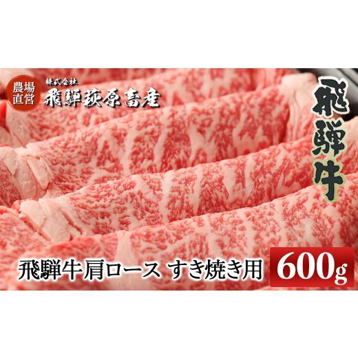 ふるさと納税 岐阜県 下呂市 飛騨牛肩ロース  600g（すき焼き用） 国産 牛肉 ブランド牛 すきやき スキヤキ おすすめ 牛  すき焼き