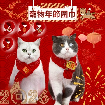 ☀️貓狗市集☀️新年圍巾 貓狗圍巾 寵物過年圍巾 寵物節慶圍巾 春節圍巾 招財進寶 毛線圍巾