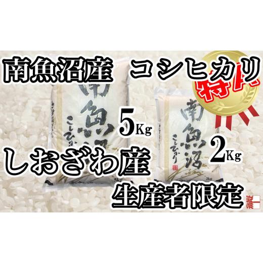 ふるさと納税 新潟県 南魚沼市 生産者限定 契約栽培 南魚沼しおざわ産コシヒカリ4Kg