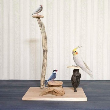 漂流木棲木【鳥類國度搖籃曲】鳥檯、棲木、漂流木、漂流木藝術、裝飾架、136