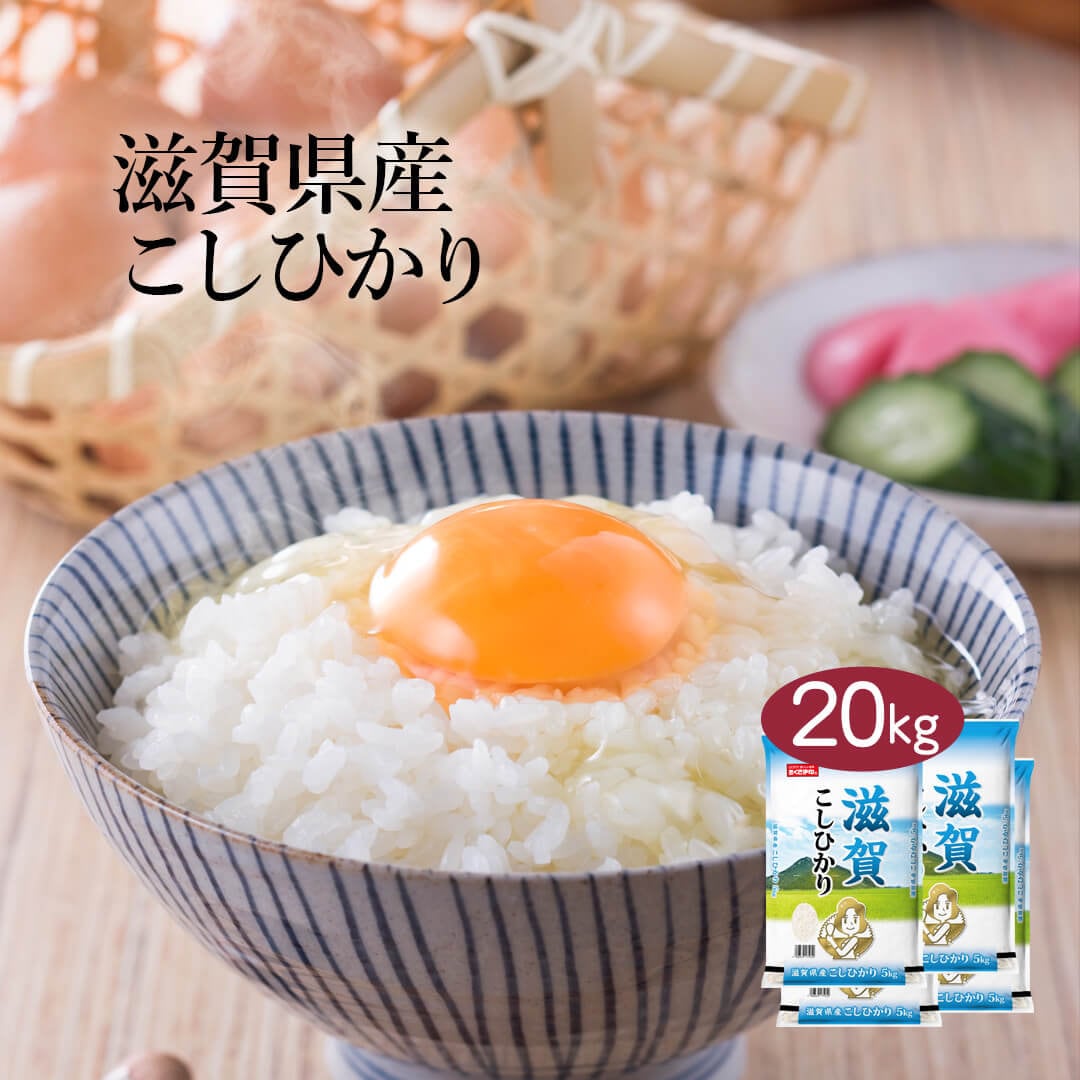 米 精米 滋賀県産 こしひかり 20kg 5kg 4セット 令和5年産 新米 お米 こめ 20キロ 安い お米 白米 国産 食品 ギフト 引っ越し 挨拶 出産 内祝い お中元 お歳暮 送料無料 おくさ