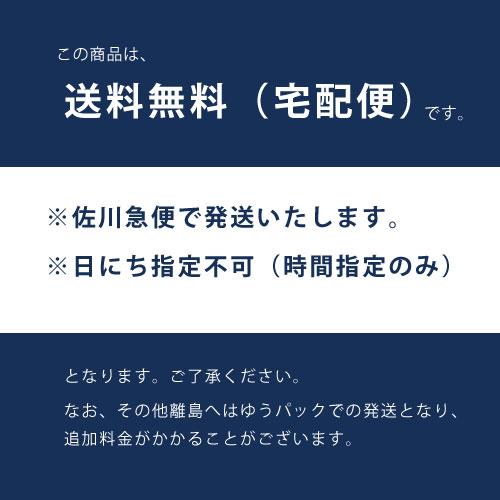 送料無料　沖縄県産　ドライパイン　16個セット　国産　パイナップル　砂糖不使用　ドライフルーツ　保存食　おすすめ