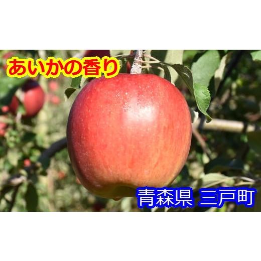 ふるさと納税 青森県 三戸町 りんご12〜18玉（約5kg）