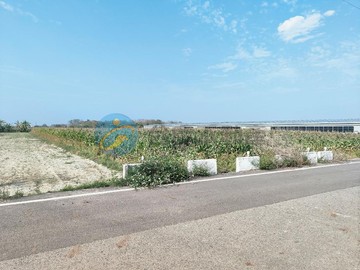 佳里港墘6米路朝南農地｜台南市佳里區港墘