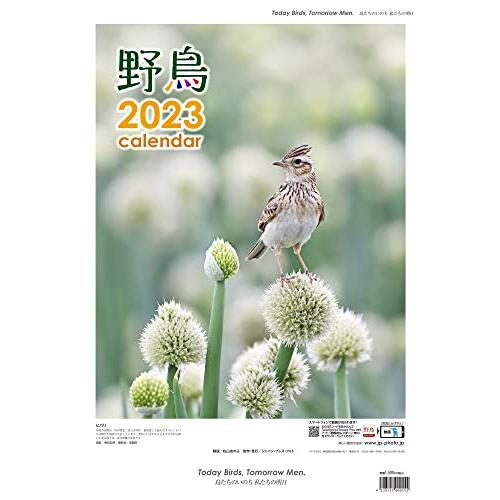 2023年 野鳥カレンダー(専用アプリAR動画機能付)