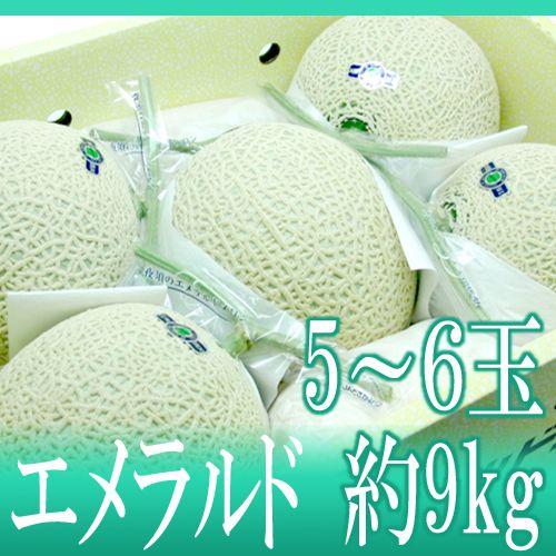 メロン 高知県夜須産 ”エメラルドメロン” 大玉 5〜6玉 約9kg以上 送料無料