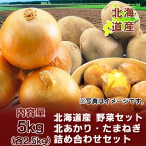 じゃがいも 送料無料 きたあかり 北海道産 野菜セット 北海道 北あかり たまねぎ 野菜セット 5kg (各2.5kg) Lサイズ 野菜 野菜セット 詰