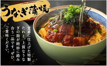 鰻天屋の九州産うなぎ 蒲焼 約140g×2尾 セット