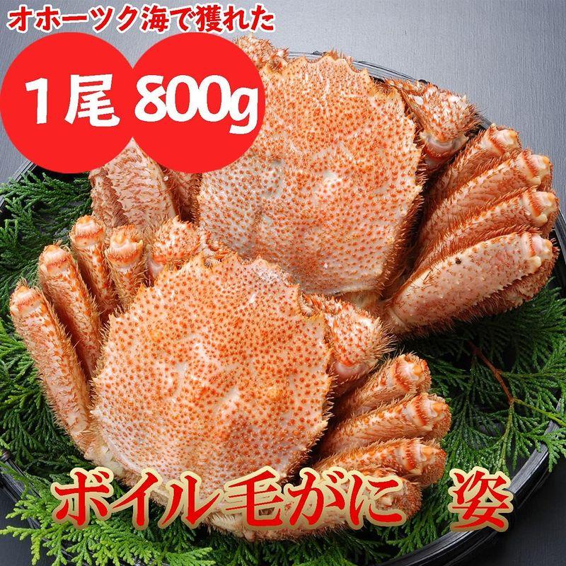 7L特大毛ガニ 1.4kg (2尾) キャンプギフト 内祝 御祝 御礼 ご挨拶 土産 贈り物 プレゼント