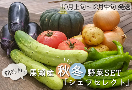 ＼産地直送／朝採れ!! 秋冬野菜SET 『シェフセレクト』（発送時期:10月上旬から12月中旬まで） 秋冬収穫 旬野菜 詰合せ 野菜 セット 下呂温泉