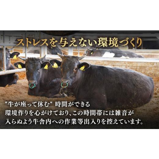 ふるさと納税 佐賀県 嬉野市  4月発送 佐賀牛 A5 堪能セット  (しゃぶしゃぶ すき焼き用 ・ 焼肉用)  計1.6kg(400g×4P) 【桑原畜産…