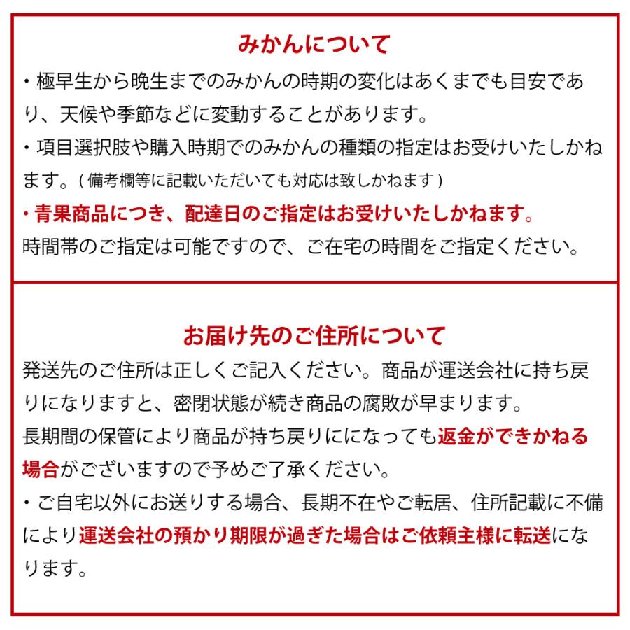 みかん 10kg 訳あり 小粒 中粒 大粒 ミックス 不ぞろい 家庭用 ミカン 果物 フルーツ 和歌山産 お歳暮