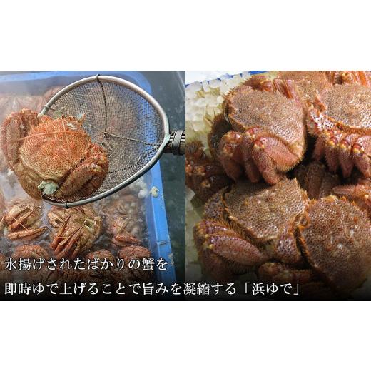 ふるさと納税 北海道 白老町 北海道産 冷凍ボイル毛ガニ (300g-340g前後) 2尾