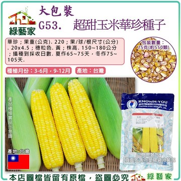【綠藝家】【00G53】大包裝.超甜玉米華珍種子75克(約550顆)/ 1磅 產量高。糖分保持力長。 果菜類大包裝