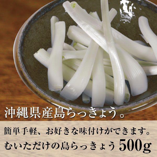 沖縄 伊江島産 生野菜 むいただけの島らっきょう 500g