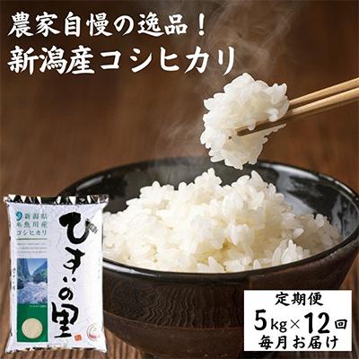 ふるさと納税 糸魚川市 新潟県糸魚川産コシヒカリ 5kg 農家自慢の特選米『ひすいの里』全12回