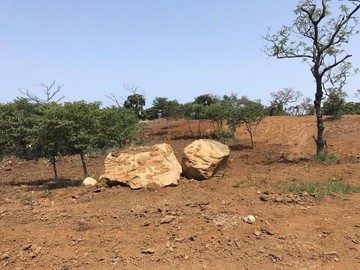 Q126下圭柔山好地段臨路優質農地｜新北市淡水區下圭柔山