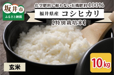 福井県産 コシヒカリ 10kg ～化学肥料にたよらない有機肥料100%～ ネオニコフリー（玄米）[A-13405_02]