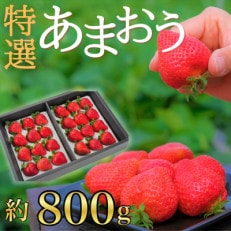 うるう農園の贈答用あまおう　800g