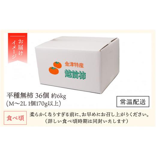 ふるさと納税 福井県 あわら市 越前柿 36個入 約6kg（M〜2L）≪JA受賞歴親子２代≫  ／ 果物 フルーツ 柿 産地直送 期間限定 ※2024年11月上旬よ…