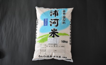 北海道浦河町の特別栽培米「おぼろづき」玄米(10kg×1袋)定期便(全3回)[37-1176]