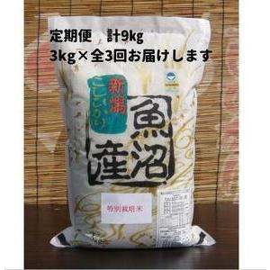 ふるさと納税 令和５年産新米がんこおやじが作った南魚沼産コシヒカリ白米３kg 新潟県南魚沼市